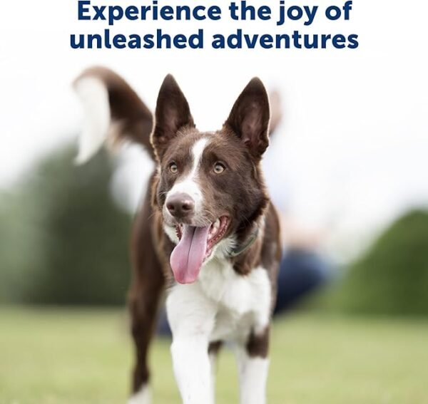 PetSafe Remote Trainer Dog Training Collar - 3 Training Modes: Tone, Vibration - Image 2