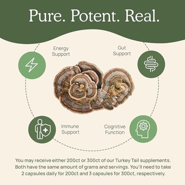 Turkey Tail Capsules - Organic Mushroom Supplement with Potent Turkey Tail Mushroom Extract for Gut, Energy, Brain, & Immune Support - Vegan Mushroom Extract, Non-GMO, 200 Caps - Image 6