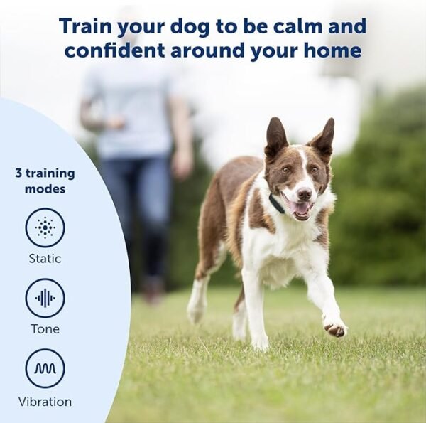 PetSafe Remote Trainer Dog Training Collar - 3 Training Modes: Tone, Vibration - Image 3