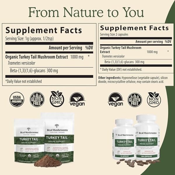 Turkey Tail Capsules - Organic Mushroom Supplement with Potent Turkey Tail Mushroom Extract for Gut, Energy, Brain, & Immune Support - Vegan Mushroom Extract, Non-GMO, 200 Caps - Image 5