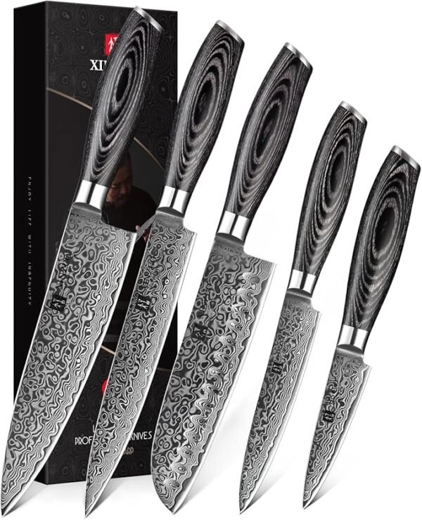 XINZUO 5PC Kitchen Knife Set Damascus Steel High Carbon Steel Chef Knife Slicing Knife Santoku Knife Utility Knife Paring Knife Sets with Pakkawood