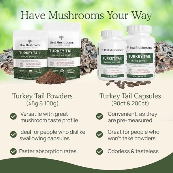 Turkey Tail Capsules - Organic Mushroom Supplement with Potent Turkey Tail Mushroom Extract for Gut, Energy, Brain, & Immune Support - Vegan Mushroom Extract, Non-GMO, 200 Caps - Image 4