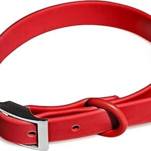 Wild One Collar - Large - Strawberry